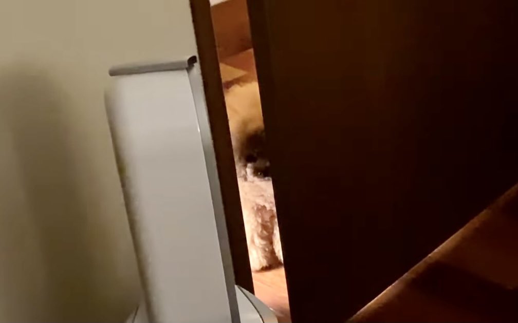 【宇野昌磨選手】ファントピPart.16