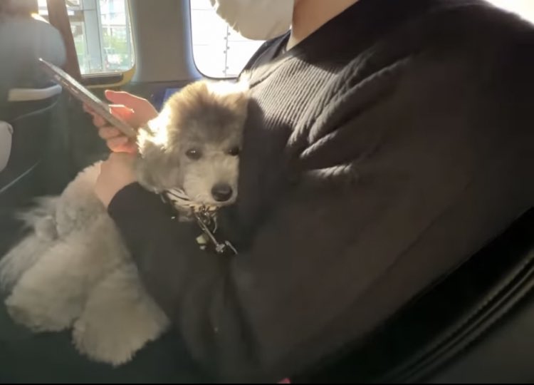 【宇野昌磨選手】ファントピPart.16