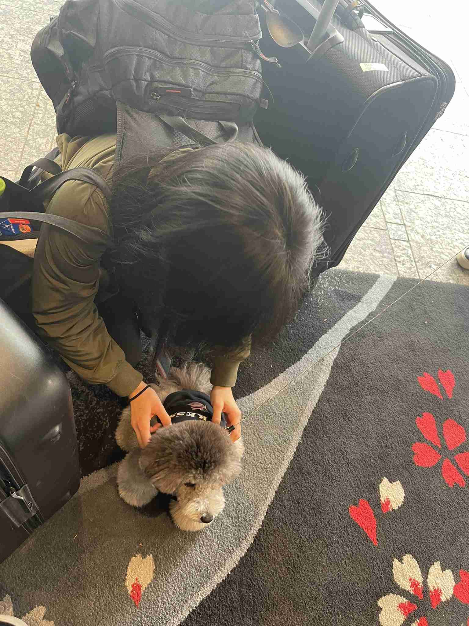 【宇野昌磨選手】ファントピPart.16