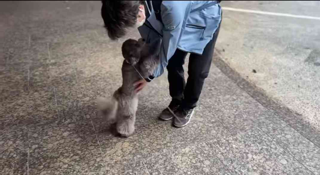 【宇野昌磨選手】ファントピPart.16