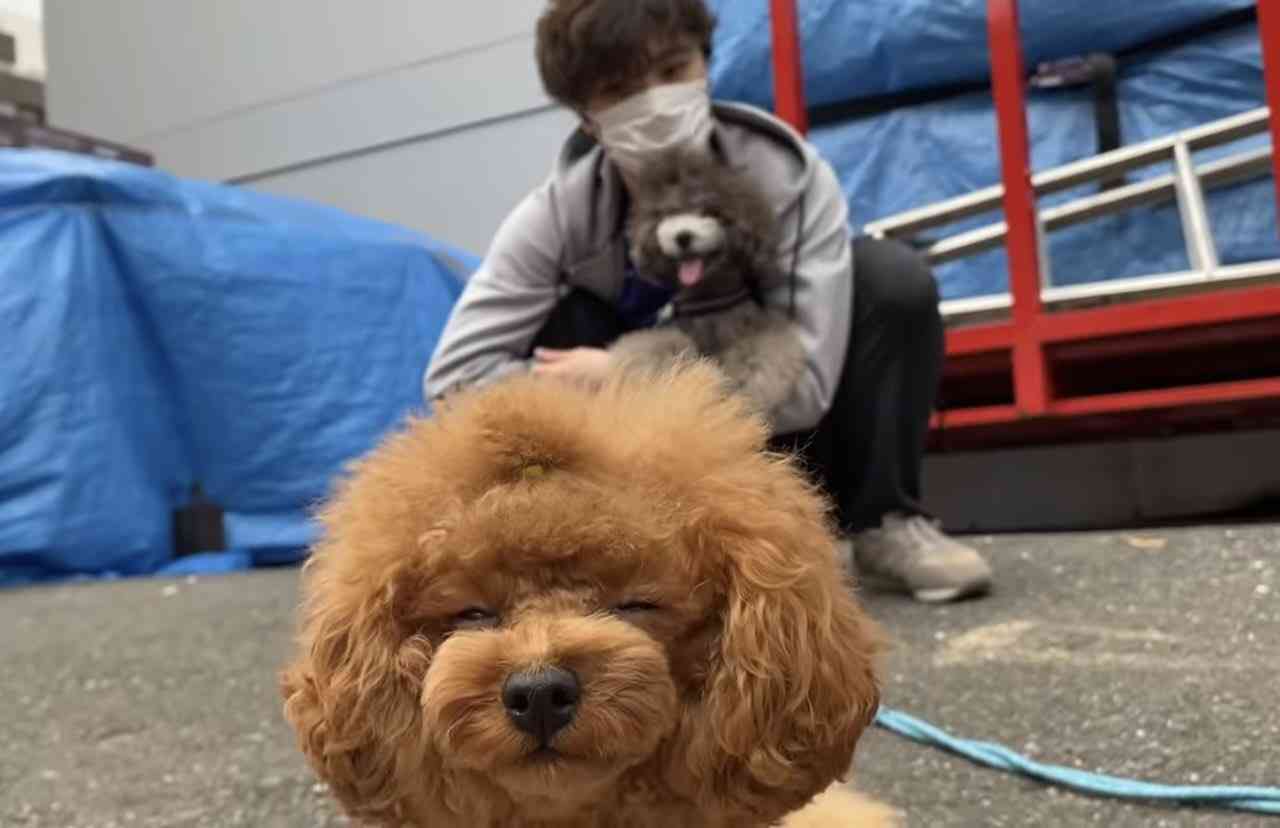 【宇野昌磨選手】ファントピPart.16