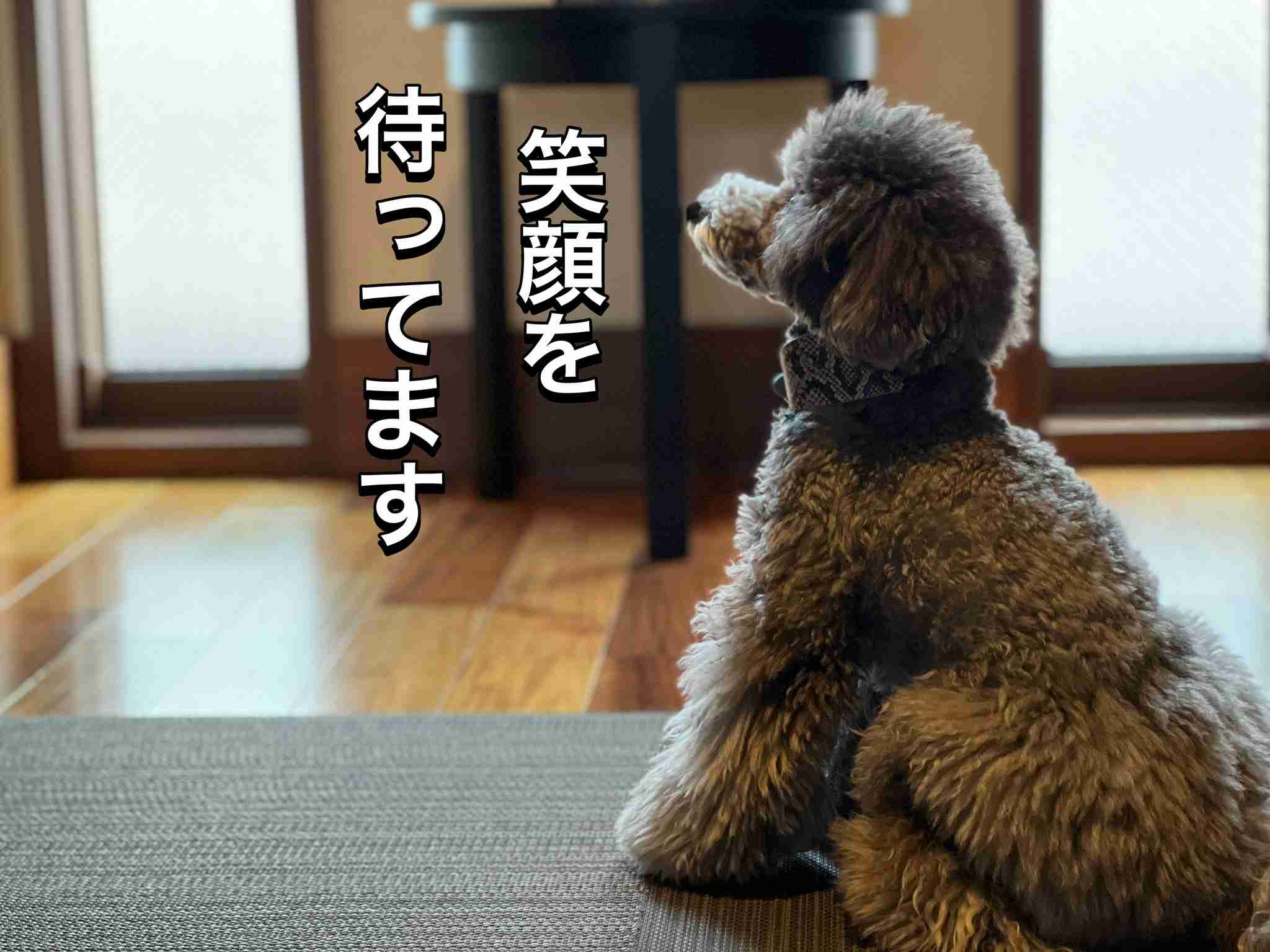 【宇野昌磨選手】ファントピPart.16