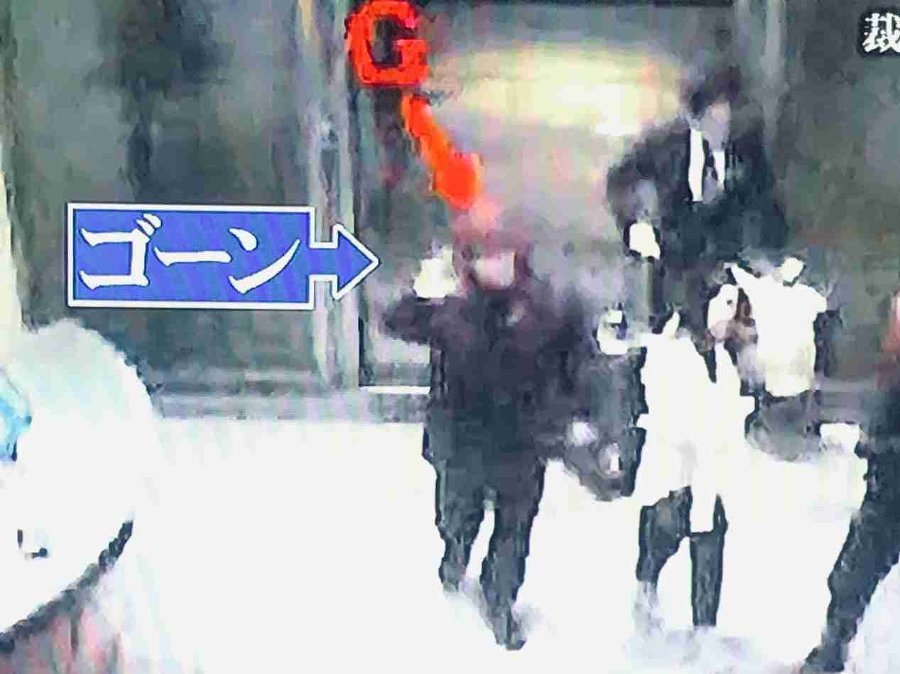 家にGが出た! 2022年春 G撃退法教えてください!