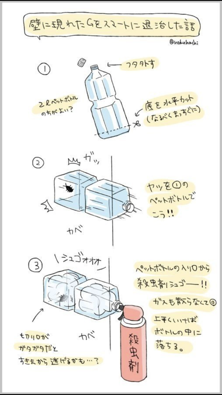 家にGが出た! 2022年春 G撃退法教えてください!