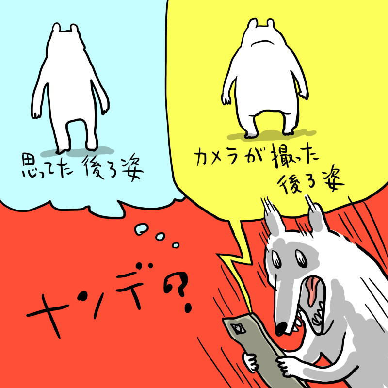 【個人的】衝撃的事実を発表します