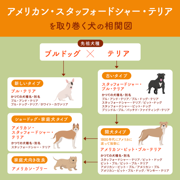 襲った飼い犬をナイフで刺し、1歳娘を救った母「犬より娘を選ぶしかなかった」（米）