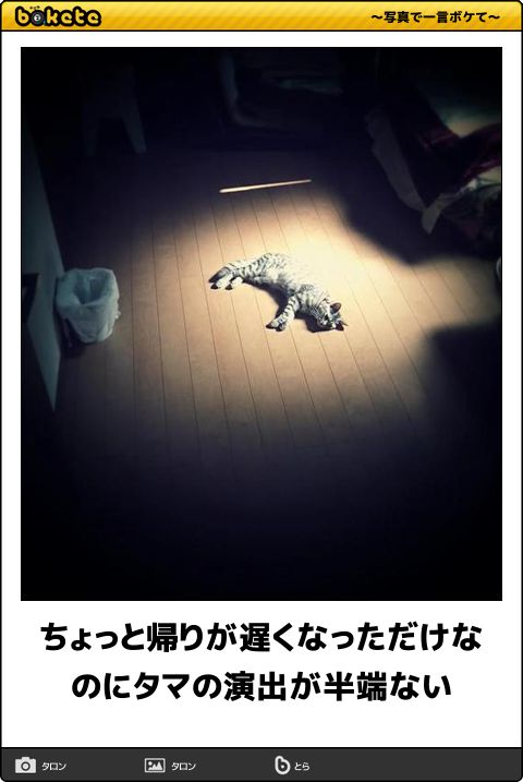 boketeで1000コメ以上を目指そう!!Part4
