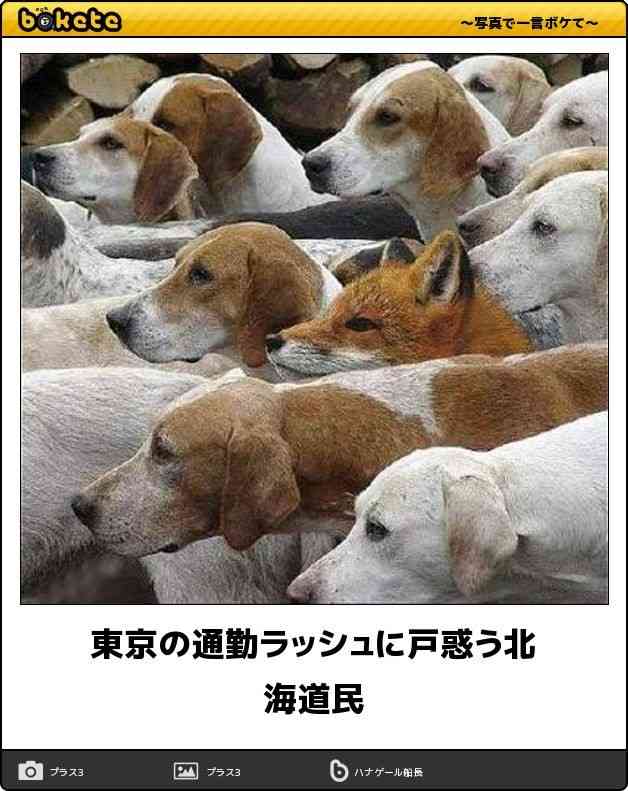 boketeで1000コメ以上を目指そう!!Part4
