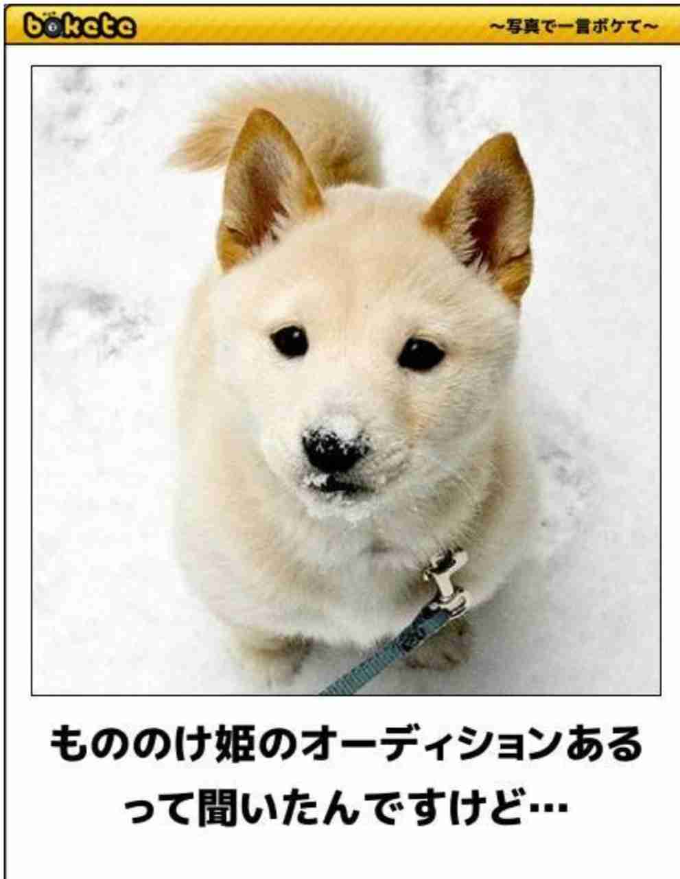 boketeで1000コメ以上を目指そう!!Part4
