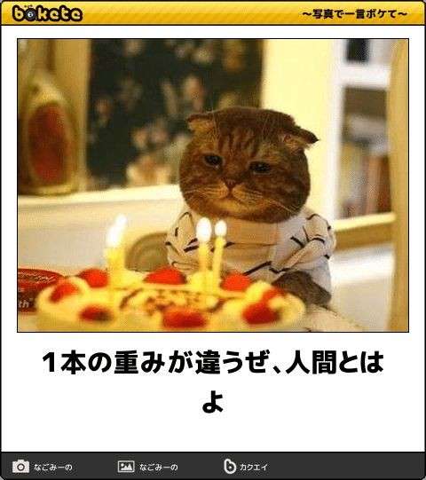 boketeで1000コメ以上を目指そう!!Part4
