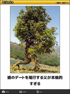 boketeで1000コメ以上を目指そう!!Part4