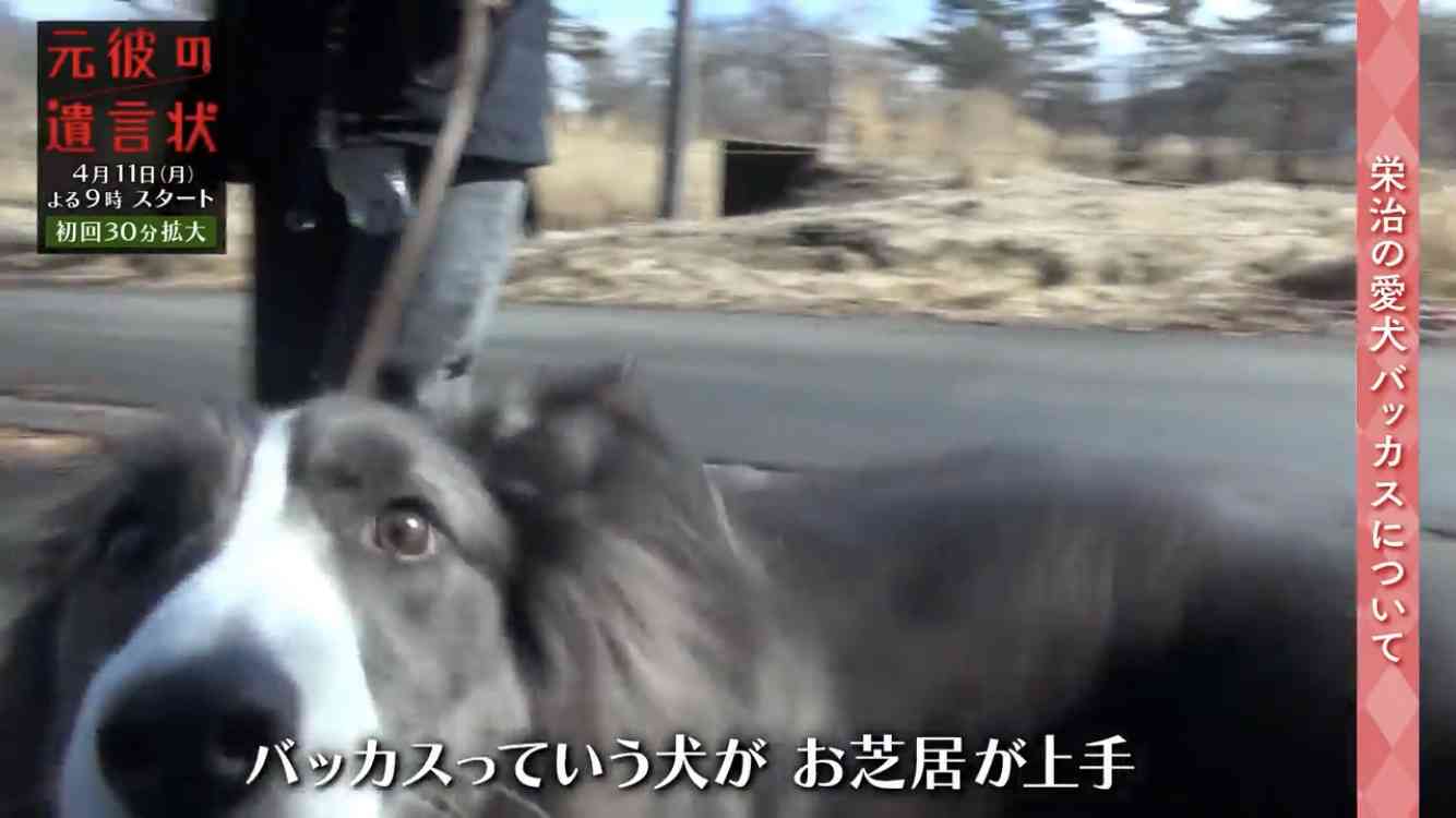 綾瀬はるか　初共演の大泉洋とは “夫婦漫才” 状態！新ドラマ現場スタッフが感心する「座長の覚悟」