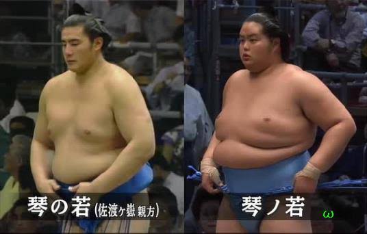 「このカッコイイ力士、なんて名前?」→「うちの父です」 秋元梢の回答に驚き「本人がwww」
