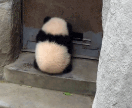 寝る前に睡眠系のサプリを飲む人!