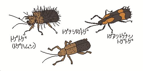 自分の中で1番役に立たなそうな雑学を披露するトピ