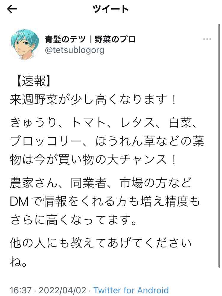 今、安い野菜高い野菜