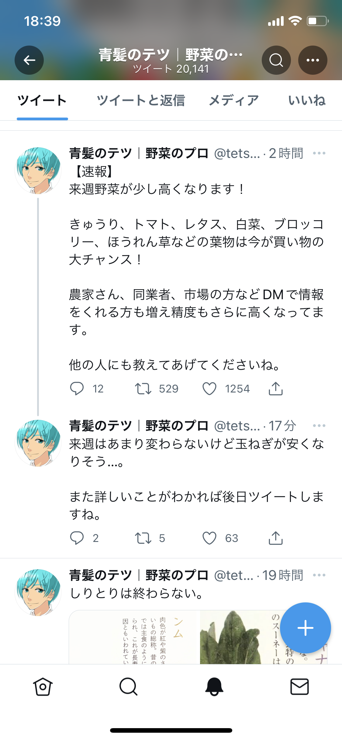 今、安い野菜高い野菜