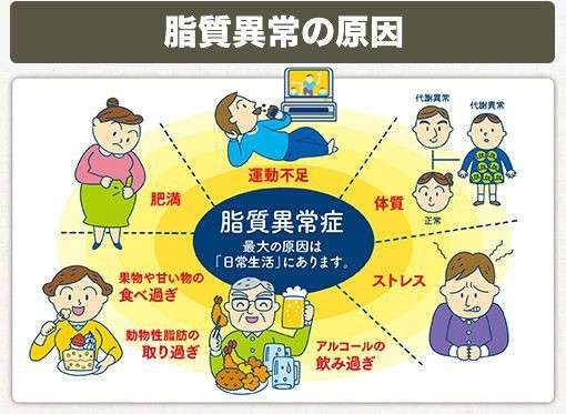 脂質異常の方