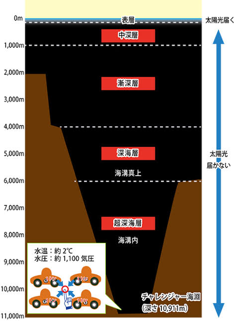 知床 観光船遭難 船体か 船名とみられる文字 海自の水中カメラ
