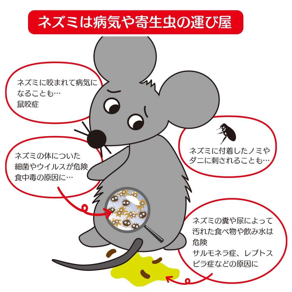 英、ネズミ捕りシート使用禁止 「非人道的」と批判