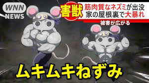 英、ネズミ捕りシート使用禁止 「非人道的」と批判