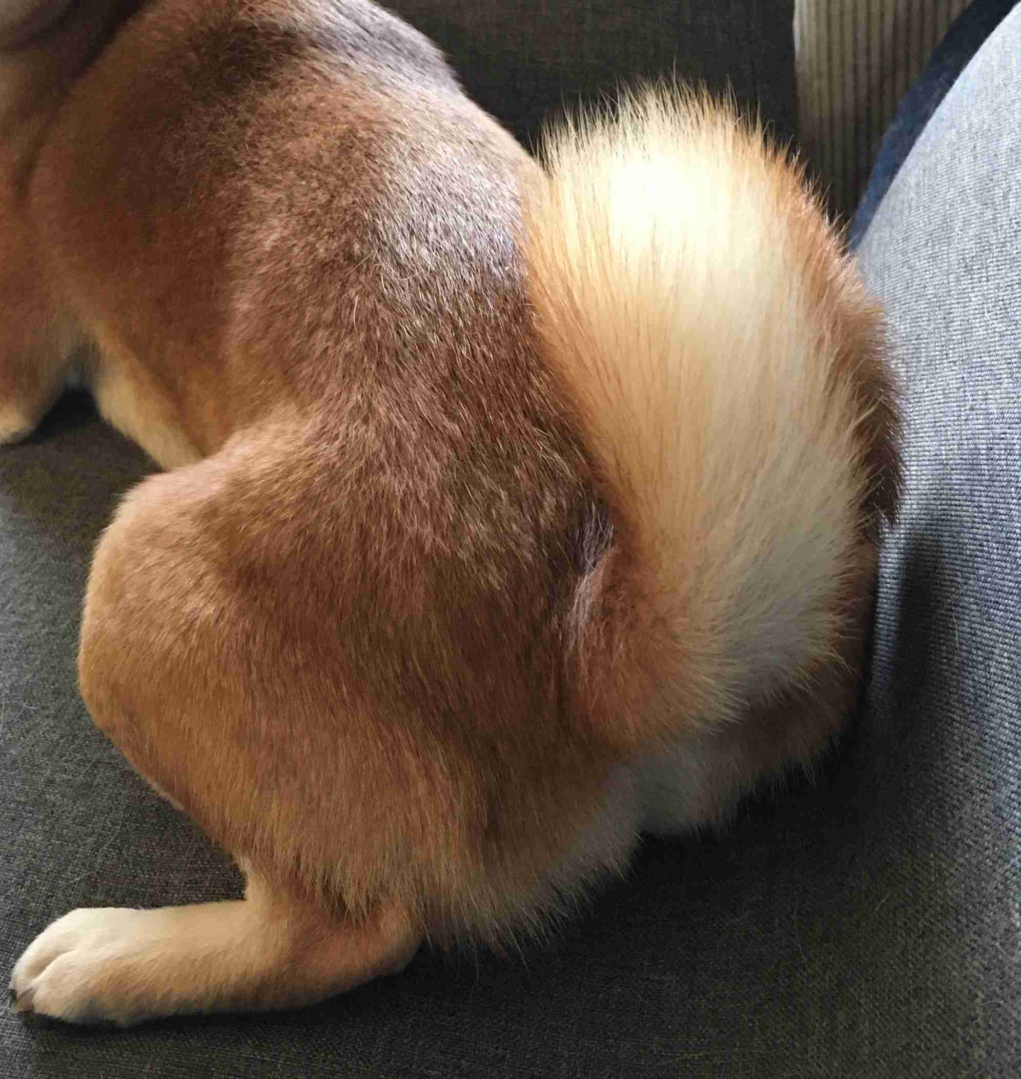 焦がしたことのあるものにプラス（供養）