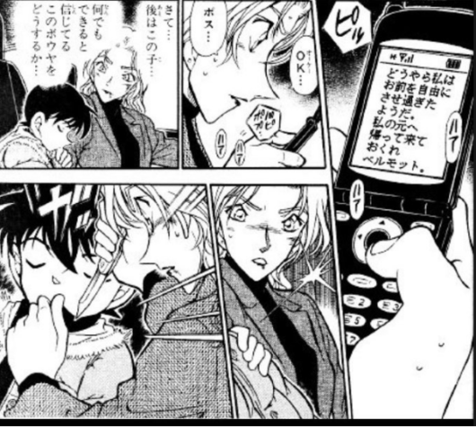 名探偵コナンで次に見たい劇場版