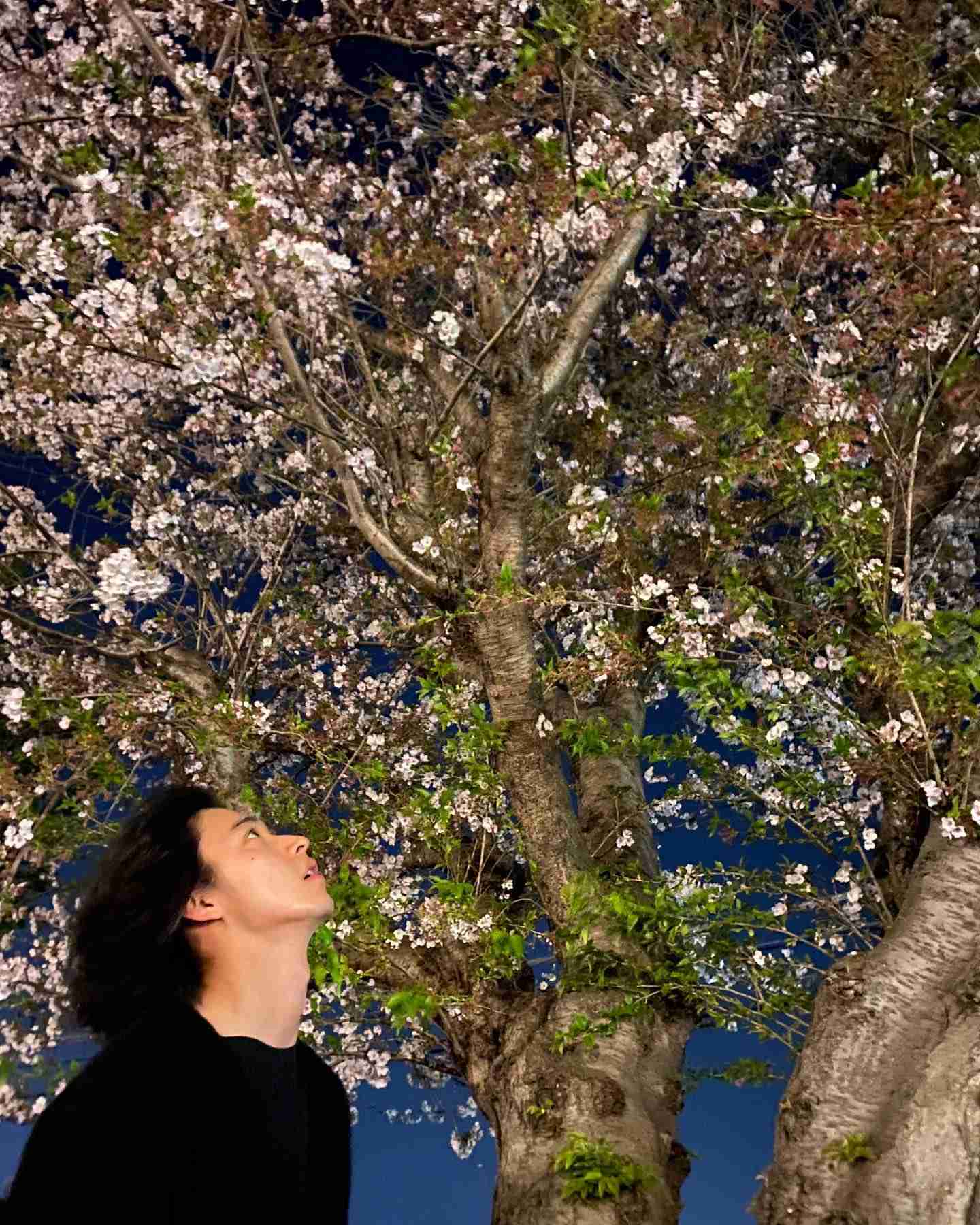 山崎賢人くんのファン