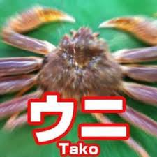 国産ウニが半額以下に…上海封鎖の影響か 水産会社も悲鳴