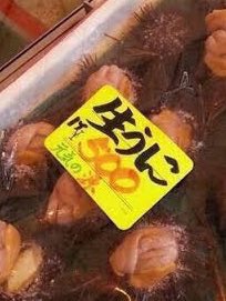 国産ウニが半額以下に…上海封鎖の影響か 水産会社も悲鳴
