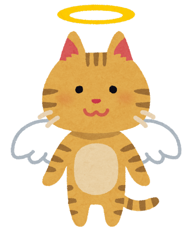 今日が人生最後の日だとするとどういう1日を過ごしたいですか？