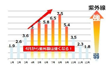 美容皮膚科のレーザー治療について質問するトピ【PART2】