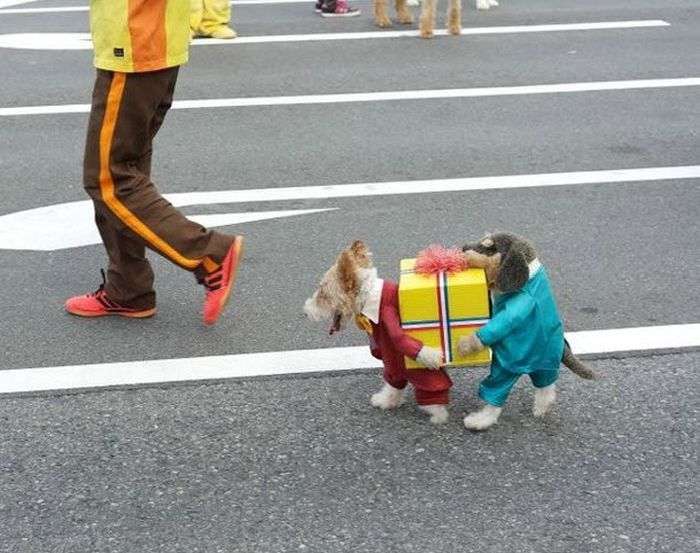 デートに誘うのに丸投げ