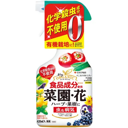 家庭菜園におすすめ「ハーブの苗」ランキング　使い勝手のいい人気商品は？