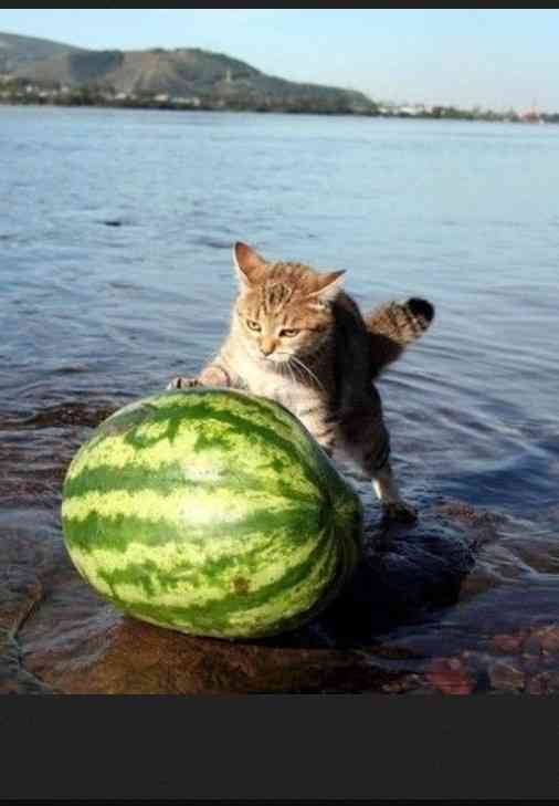 首相、感染「一部でリバウンド」 コロナに警戒呼びかけ