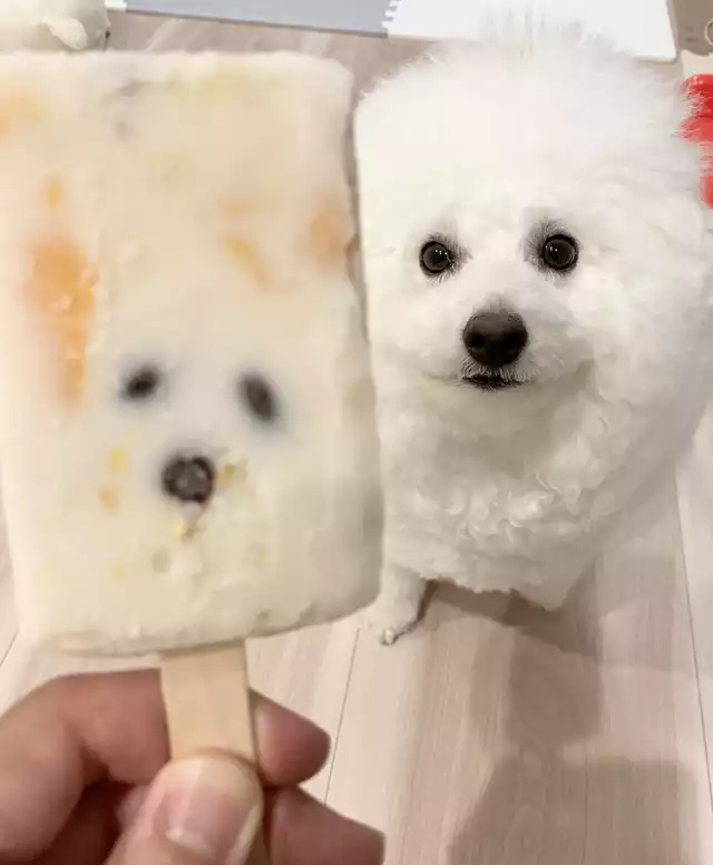 首相、感染「一部でリバウンド」 コロナに警戒呼びかけ