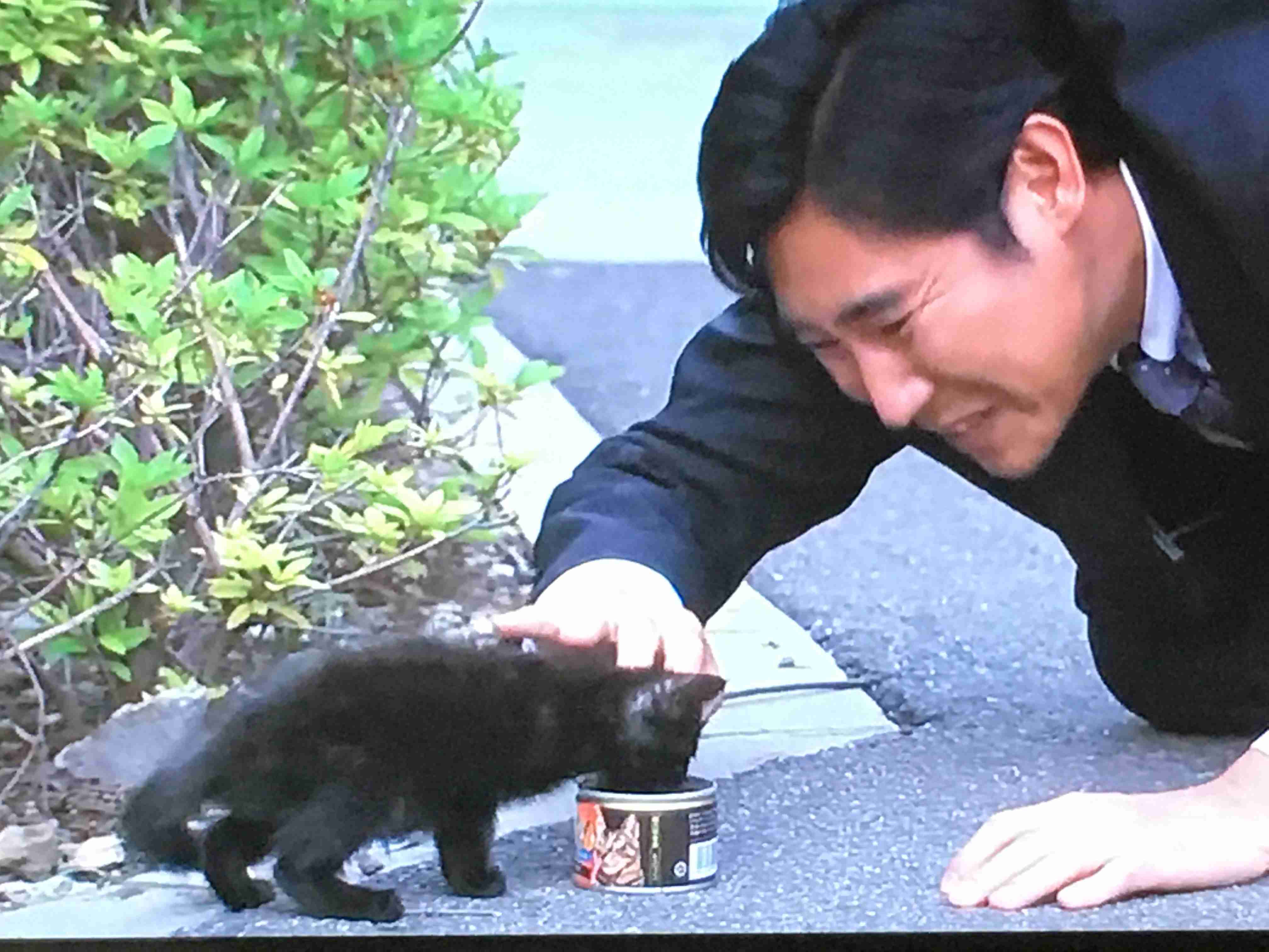 【ドクターズ】DOCTORS最強の名医観てた方【ドラマ】