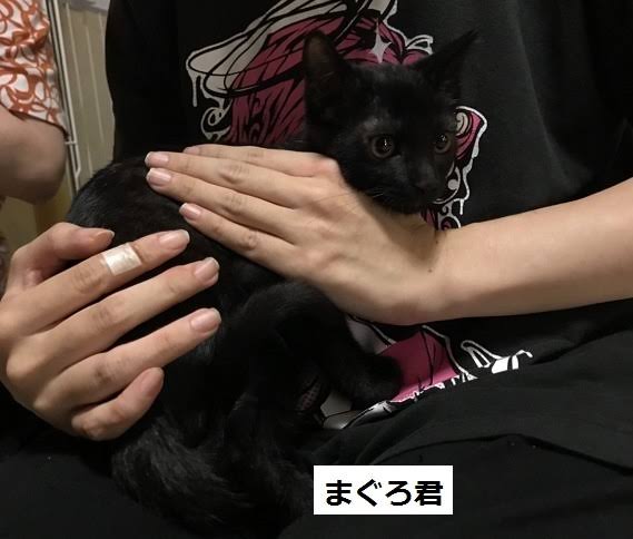 適当に名前を言ったらその名前の人物の画像が返ってくるトピPart3