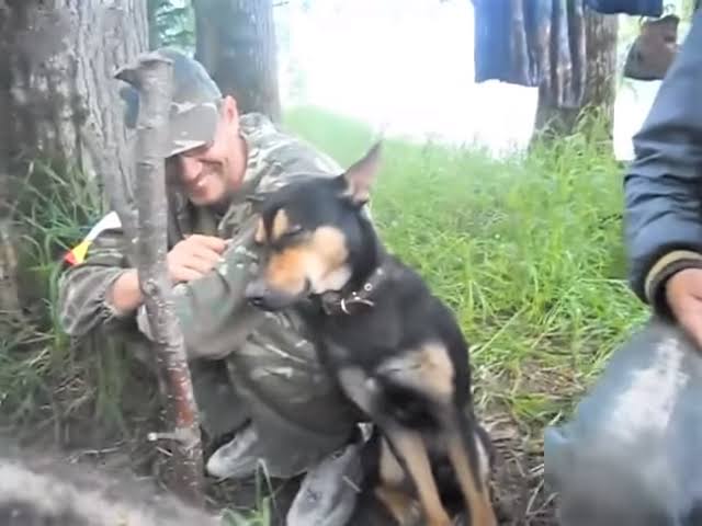 好きな犬種を愛でるトピ