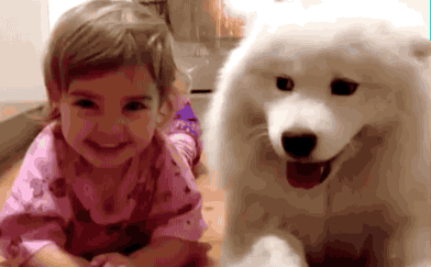 好きな犬種を愛でるトピ