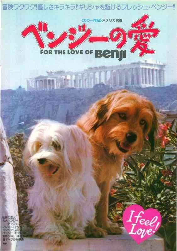 好きな犬種を愛でるトピ