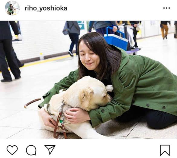 好きな犬種を愛でるトピ