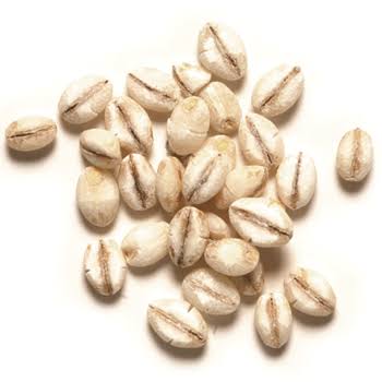 盆栽に興味があるひと！