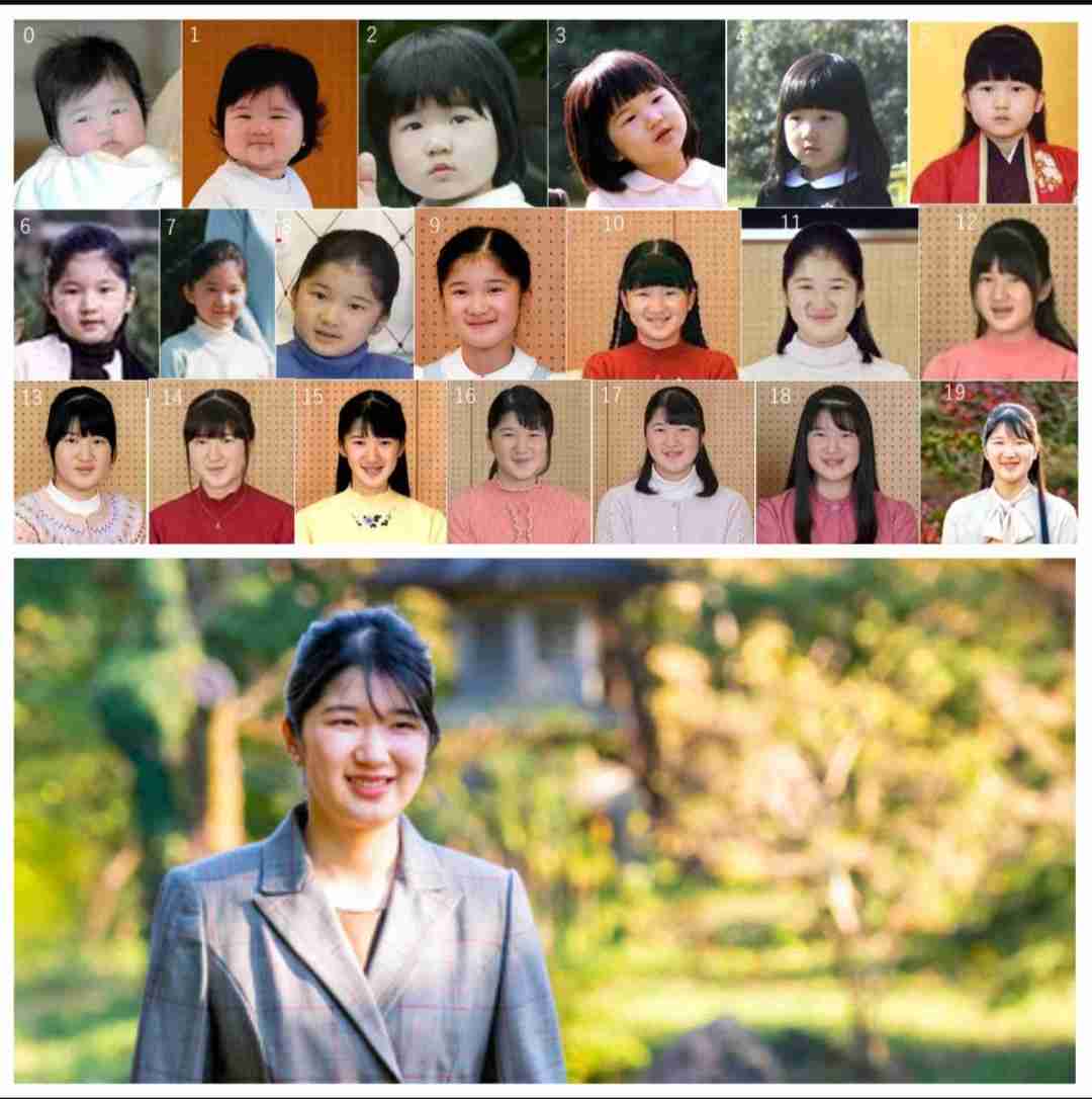 盆栽に興味があるひと!