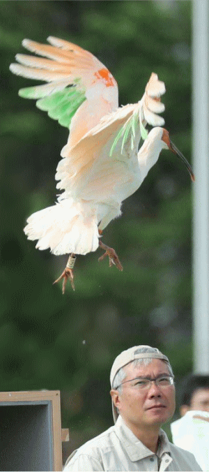 https://up.gc-img.net/post_img/2022/04/yh9ORebywKo6uwm_bDLU2_2357.gif