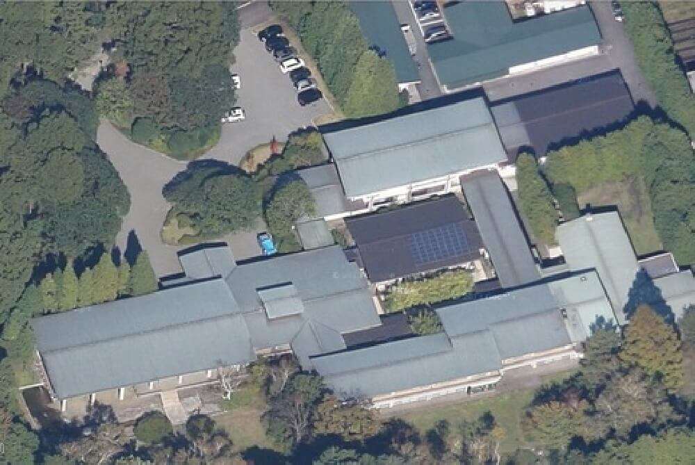 盆栽に興味があるひと！