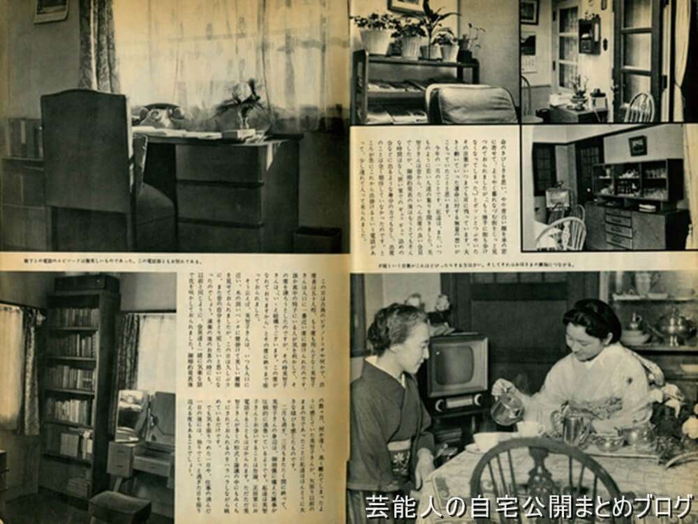 盆栽に興味があるひと！