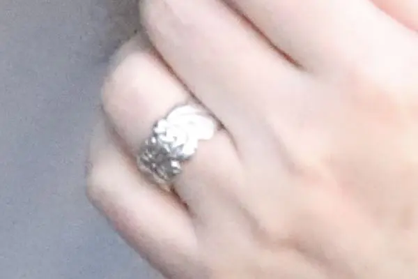 盆栽に興味があるひと！