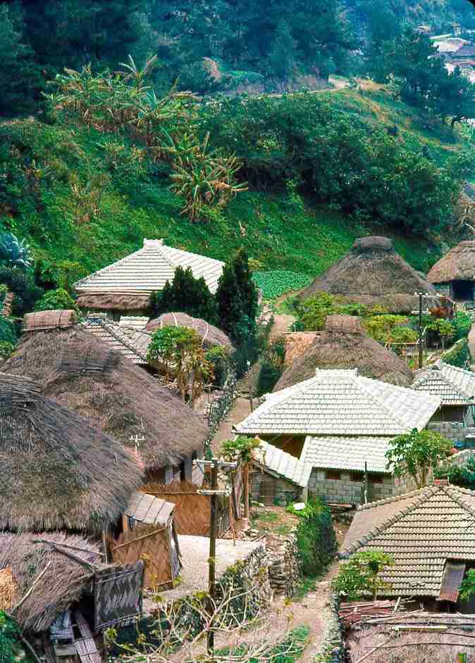 新・朝ドラ ちむどんどんを語りましょう