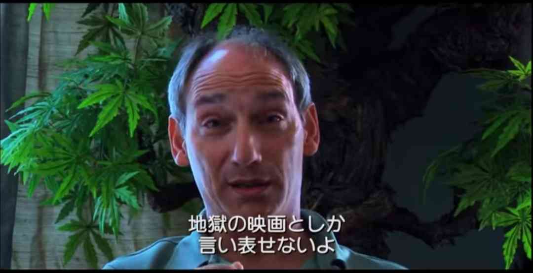 ガルちゃんでコメント代わりに使えそうな字幕テロップ画像part9